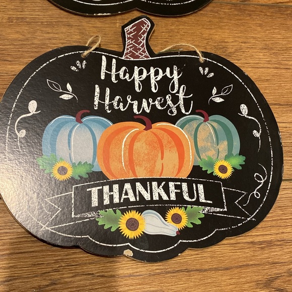 Decorative Wall Hangers - Picture 3 of 6